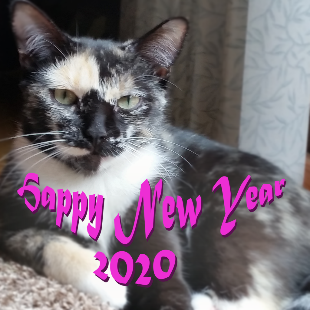 Lexi says Happy New Year