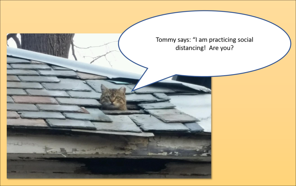 Tommy says, "I am practicing social distancing! Are you?"