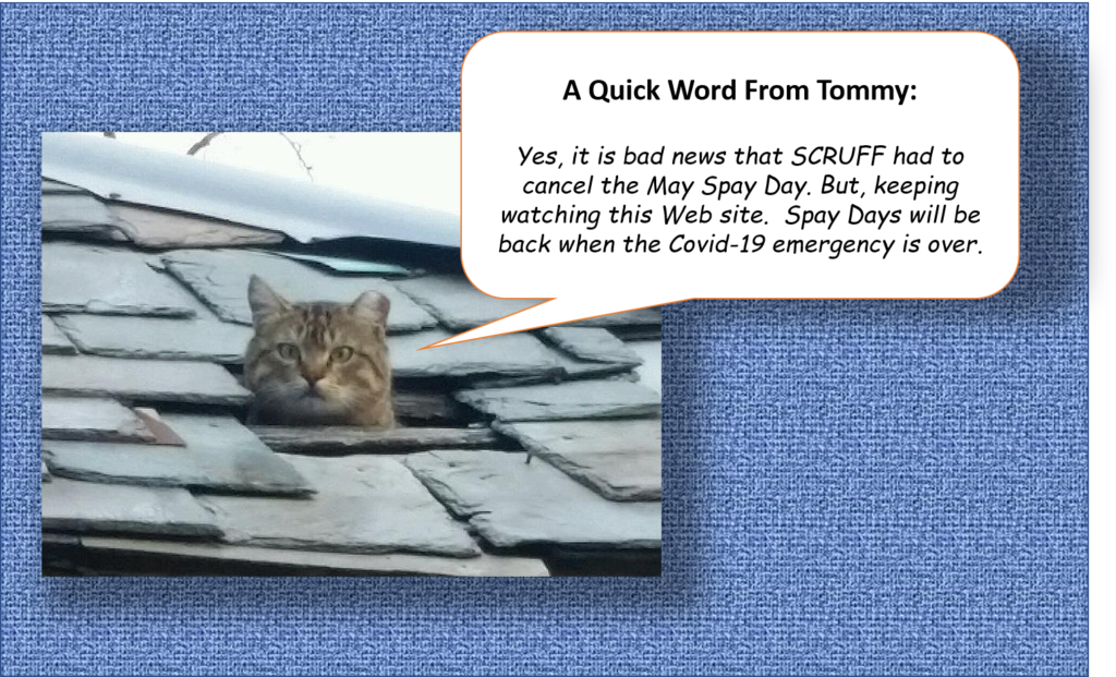 Yes, it is bad news that SCRUFF had to cancel the May Spay Day. But, keeping watching this Web site. Spay Days will be back when the Covid-19 emergency is over.