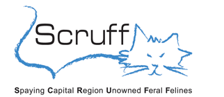 Spaying Capital Region Unowned Feral Felines (SCRUFF)