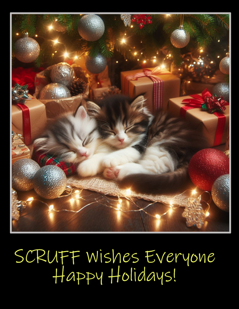 Happy Holidays from SCRUFF