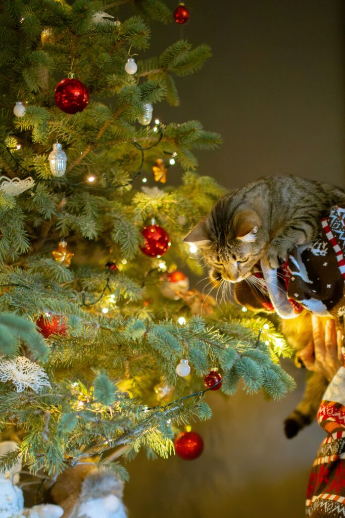 Cat and Christmas tree